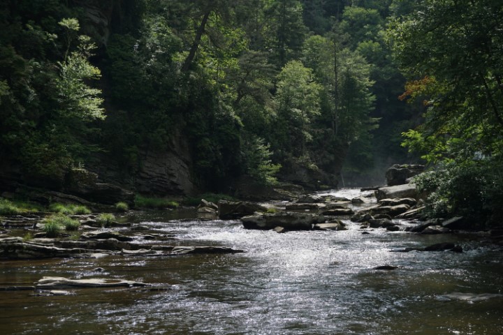 DSC09224 (Small)